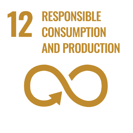12-responsible-consumption